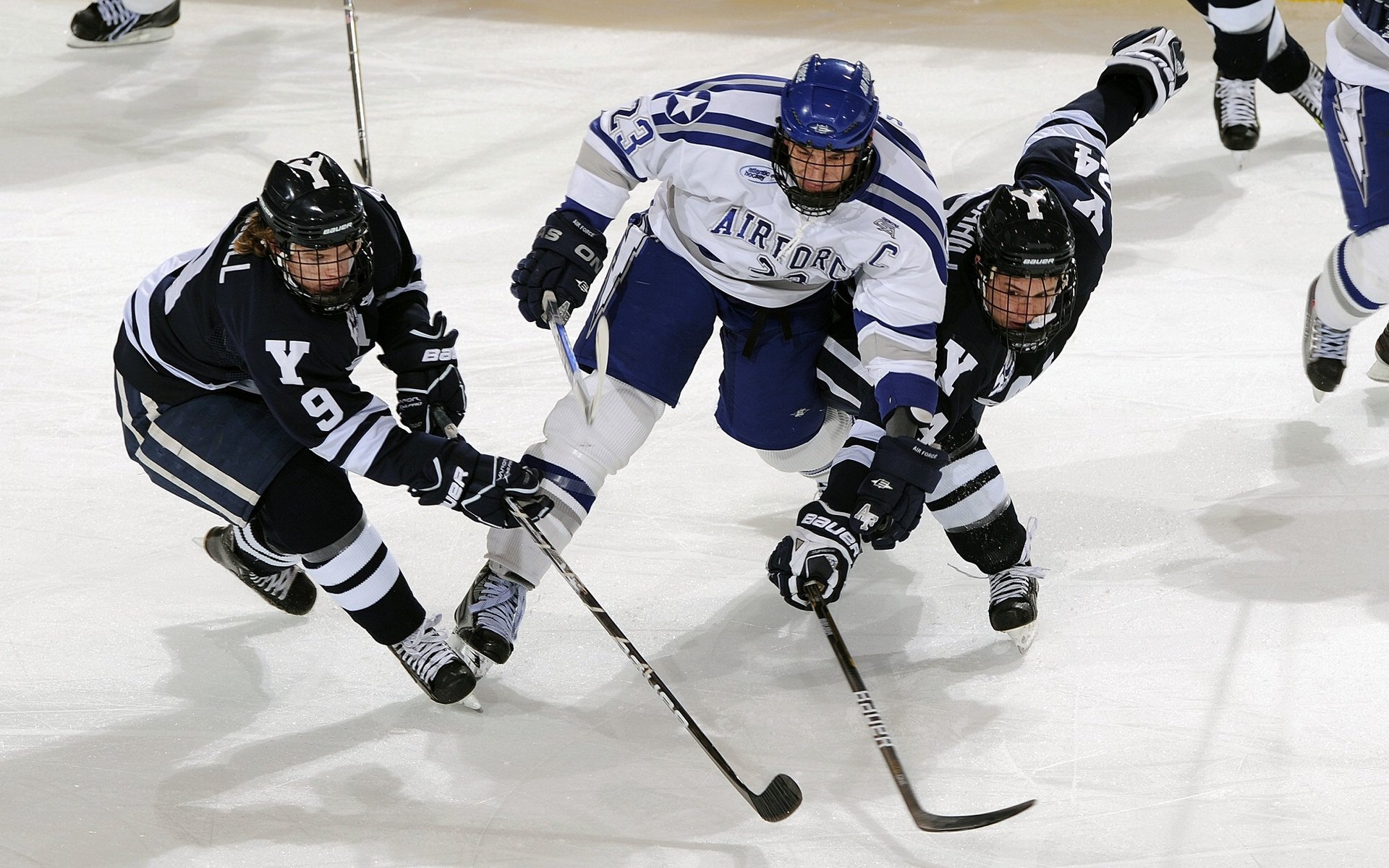 -勒沃库森防线表现稳健，勒沃库森球员图片